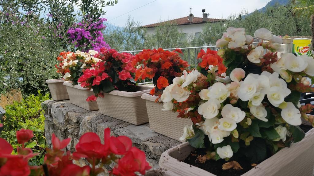 Hotel Augusta Garni Limone sul Garda Exterior photo