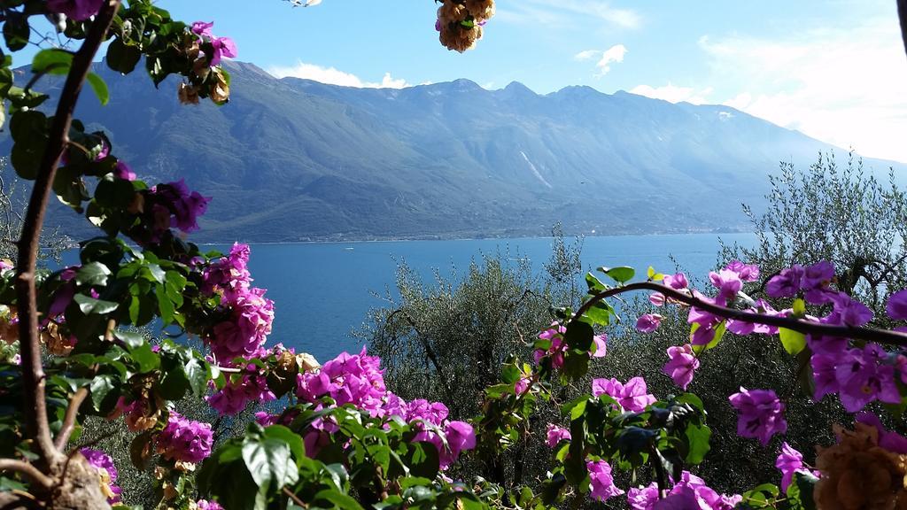 Hotel Augusta Garni Limone sul Garda Exterior photo