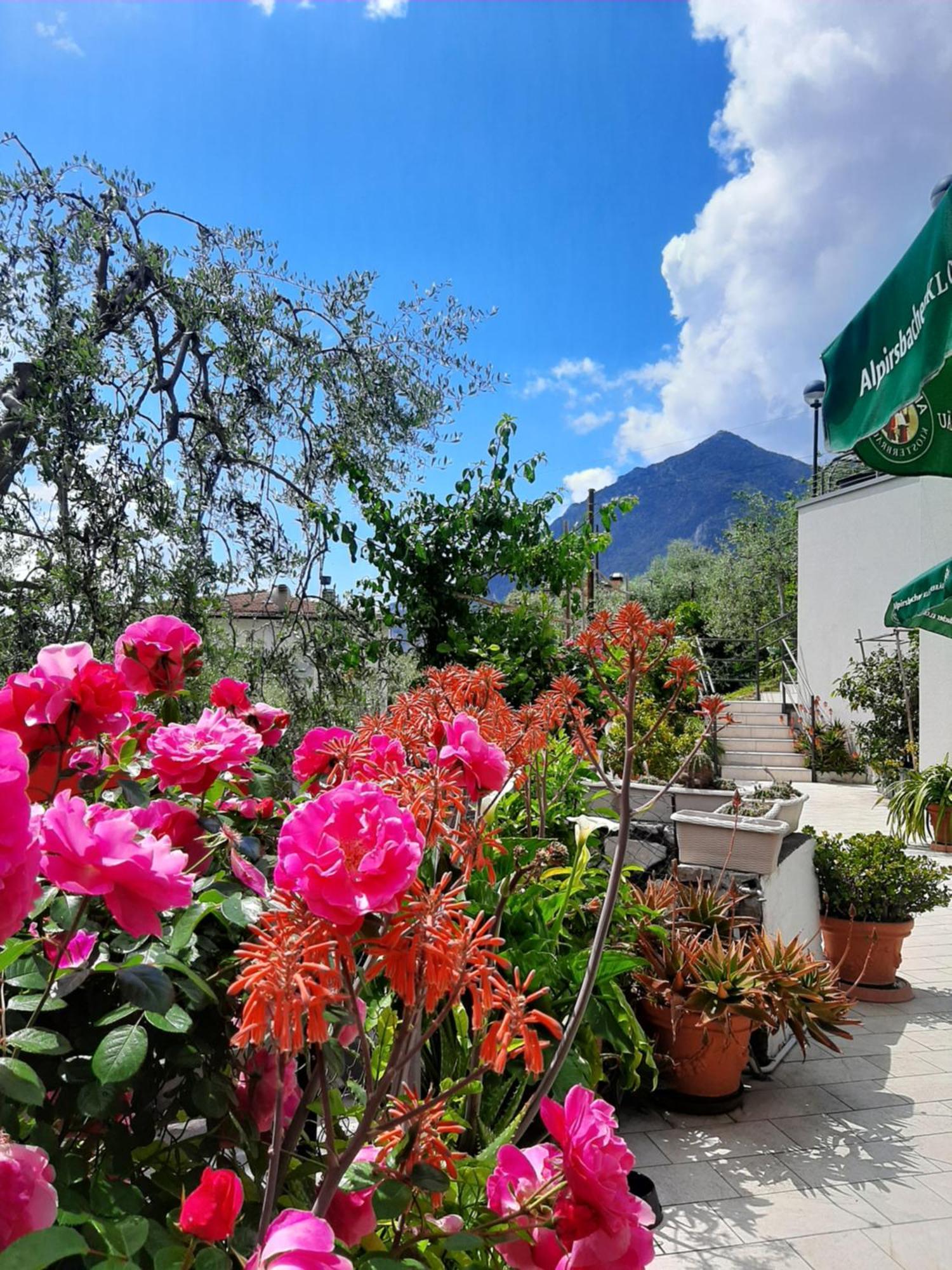 Hotel Augusta Garni Limone sul Garda Exterior photo