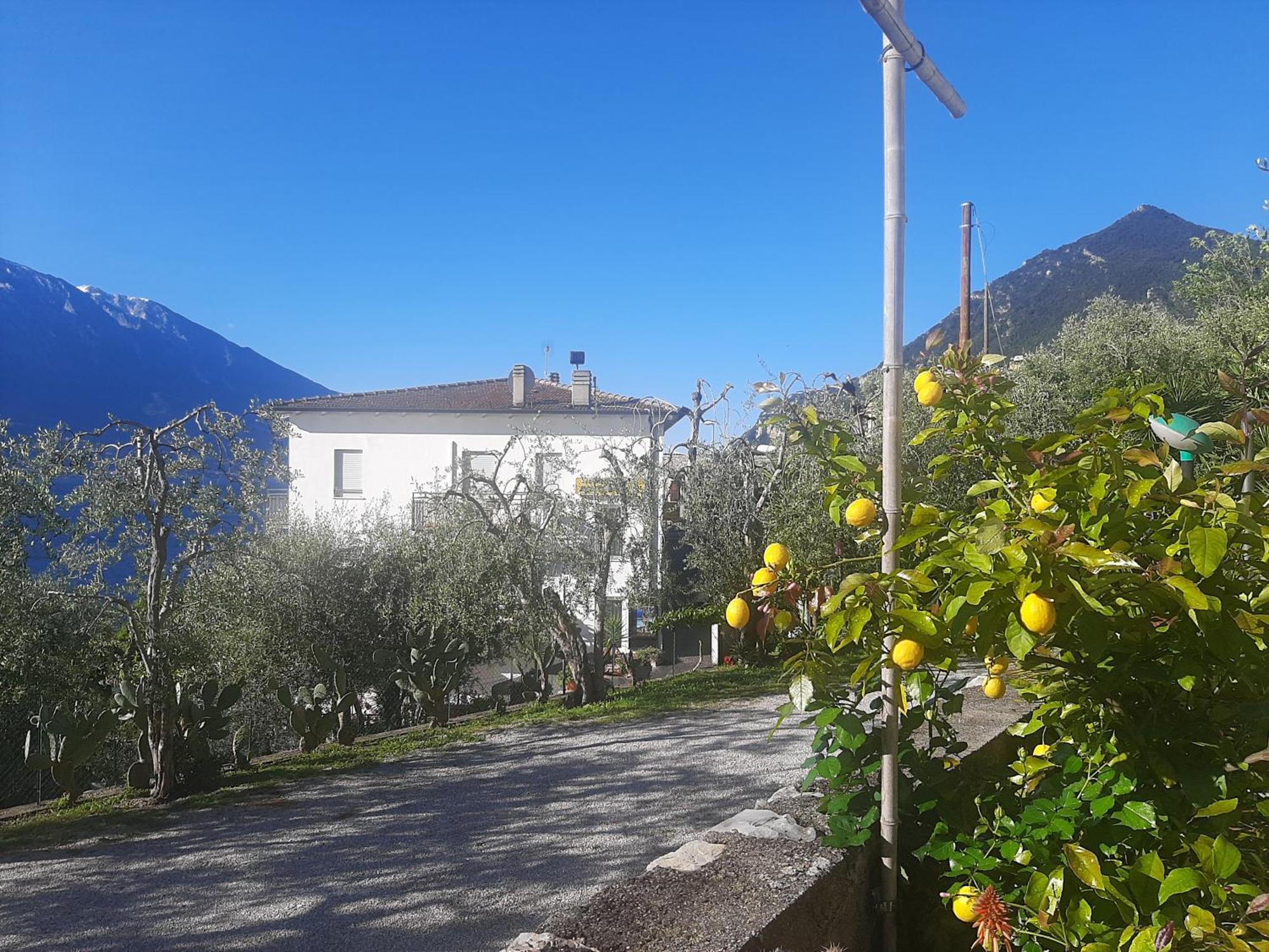Hotel Augusta Garni Limone sul Garda Exterior photo